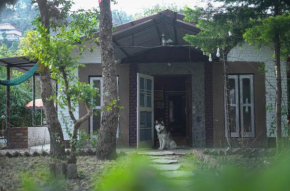 The Husky House